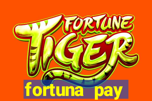 fortuna pay consultoria financeira ltda